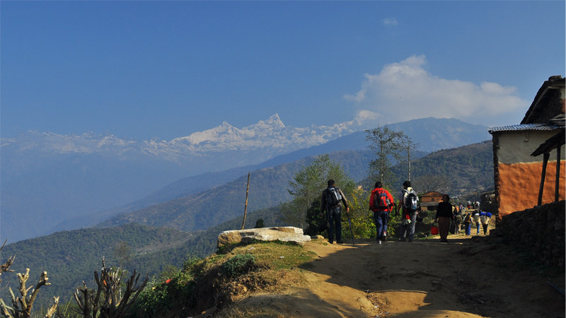  -  himaland.com