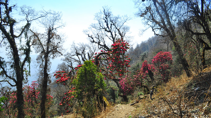  -  himaland.com